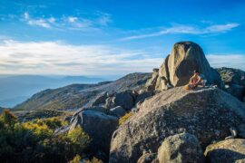 mt buffalo national park