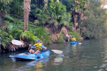 narrabeen lake kayak