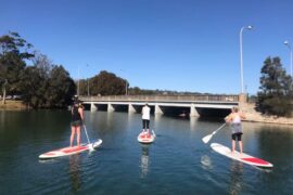 narrabeen paddle boarding