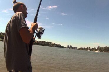 newstead park fishing