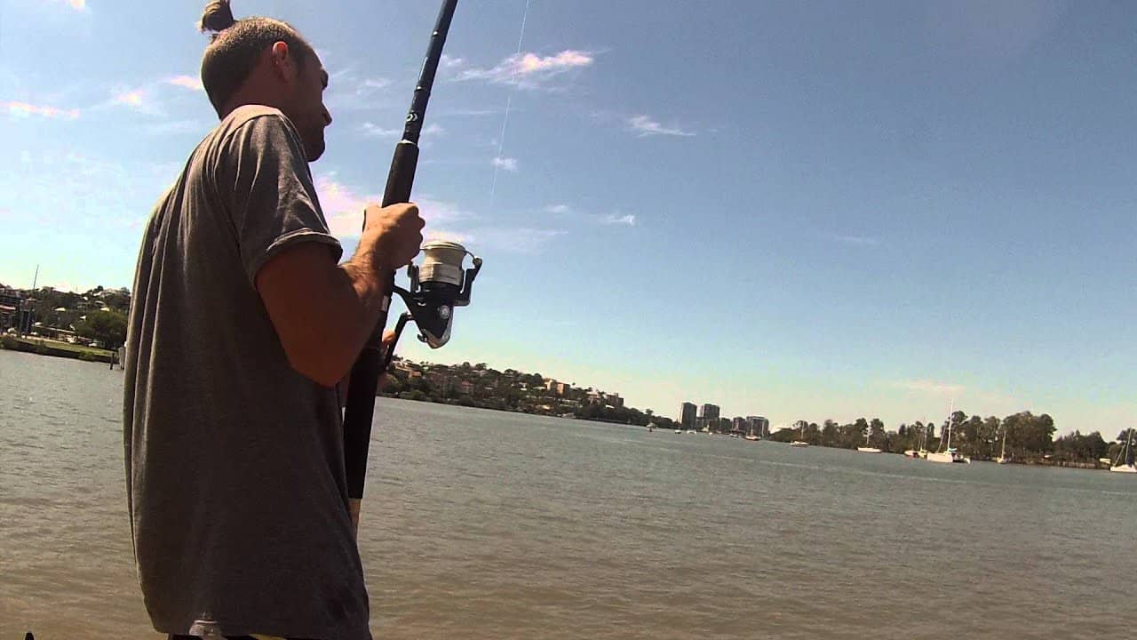 newstead park fishing