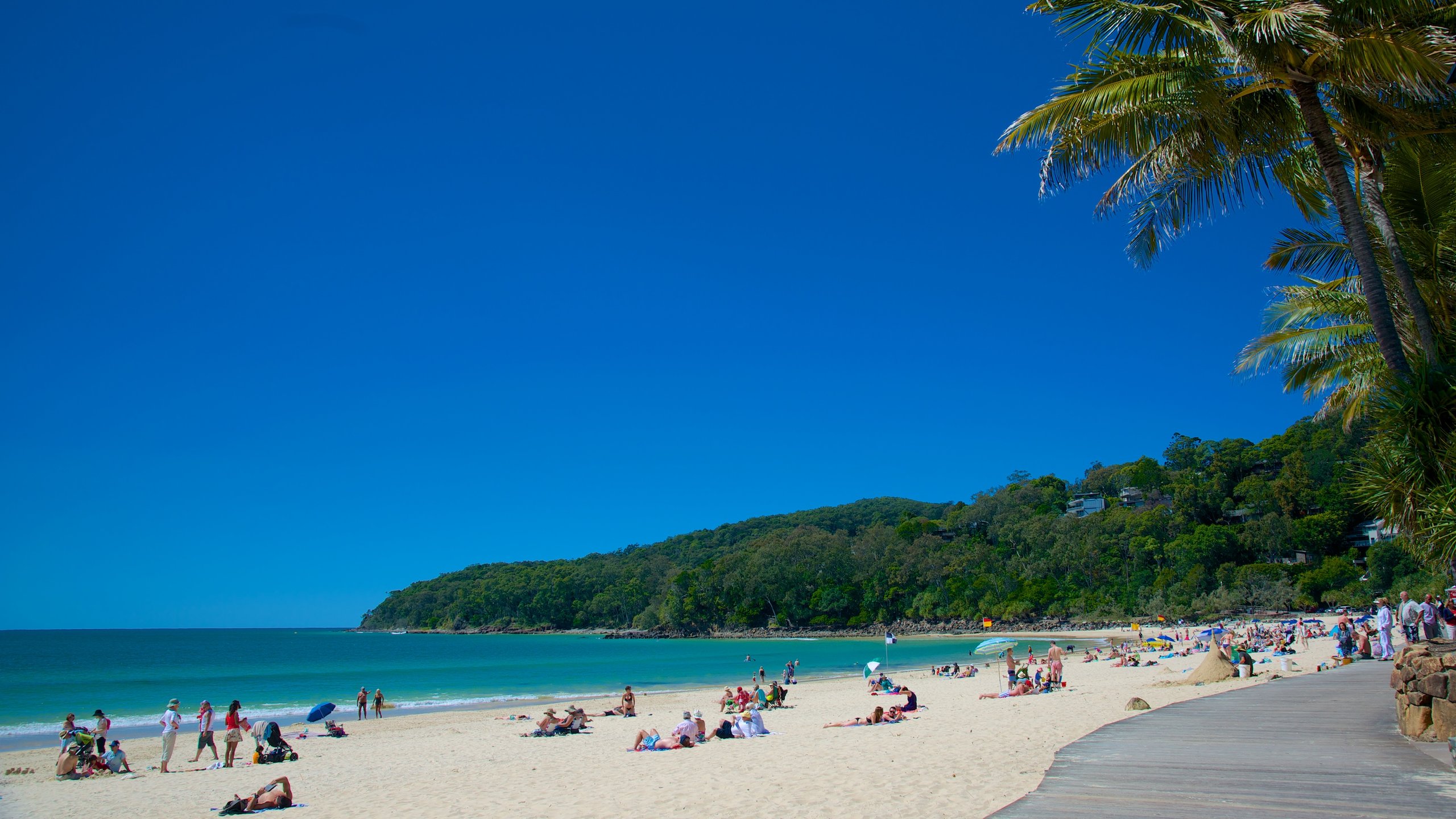 noosa beach queensland