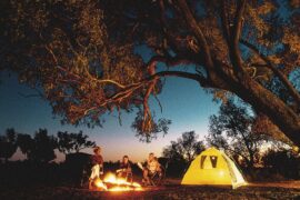 nsw campsites