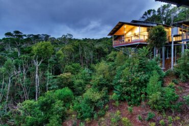 o reilly's rainforest retreat