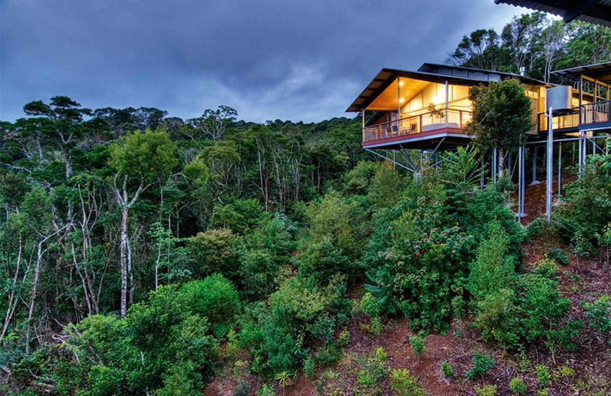 o'reillys rainforest guesthouse