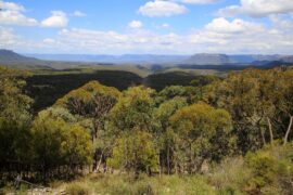 pearsons lookout capertee valley