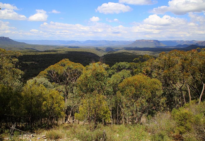 pearsons lookout capertee valley