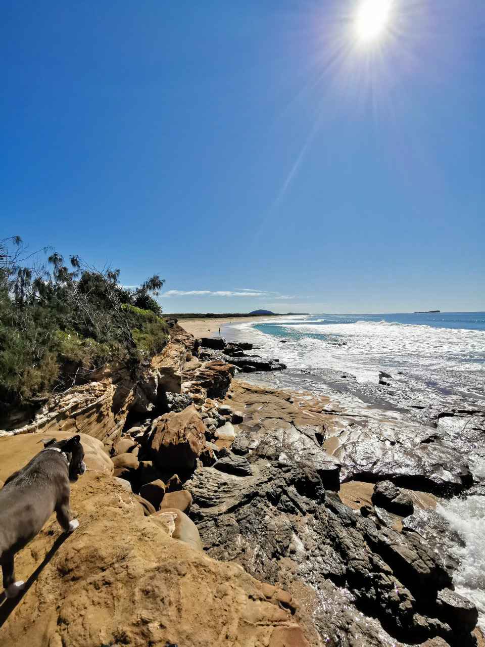 pincushion island