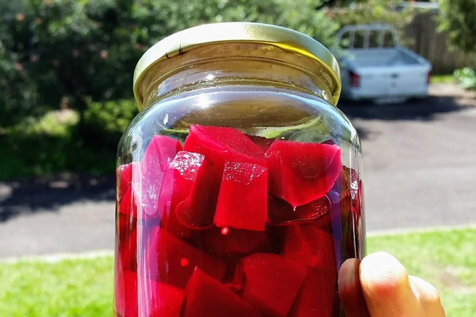 preserved beetroot