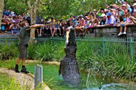 reptile park in australia