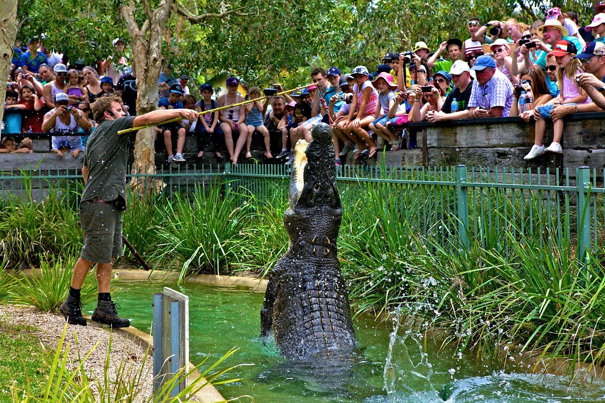 reptile park in australia