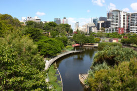 roma street parkland brisbane