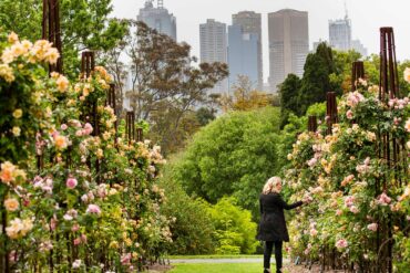 royal botanic garden victoria