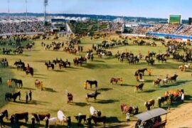 royal easter show