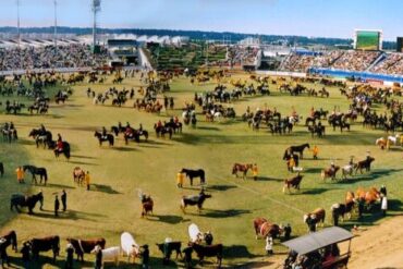 royal easter show