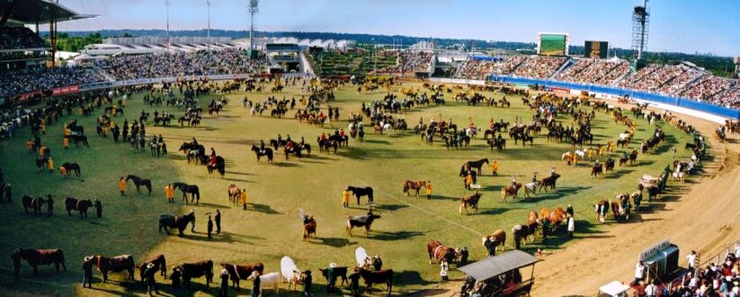 royal easter show