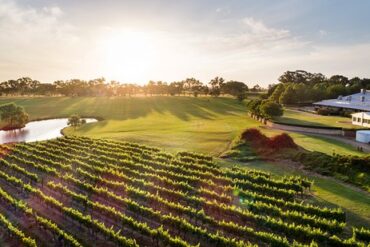 sandalford winery