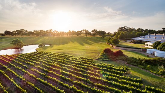 sandalford winery