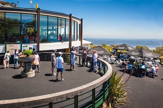 sky high restaurant mt dandenong