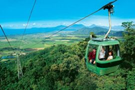 skyrail rainforest cableway cairns