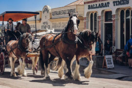 sovereign hill