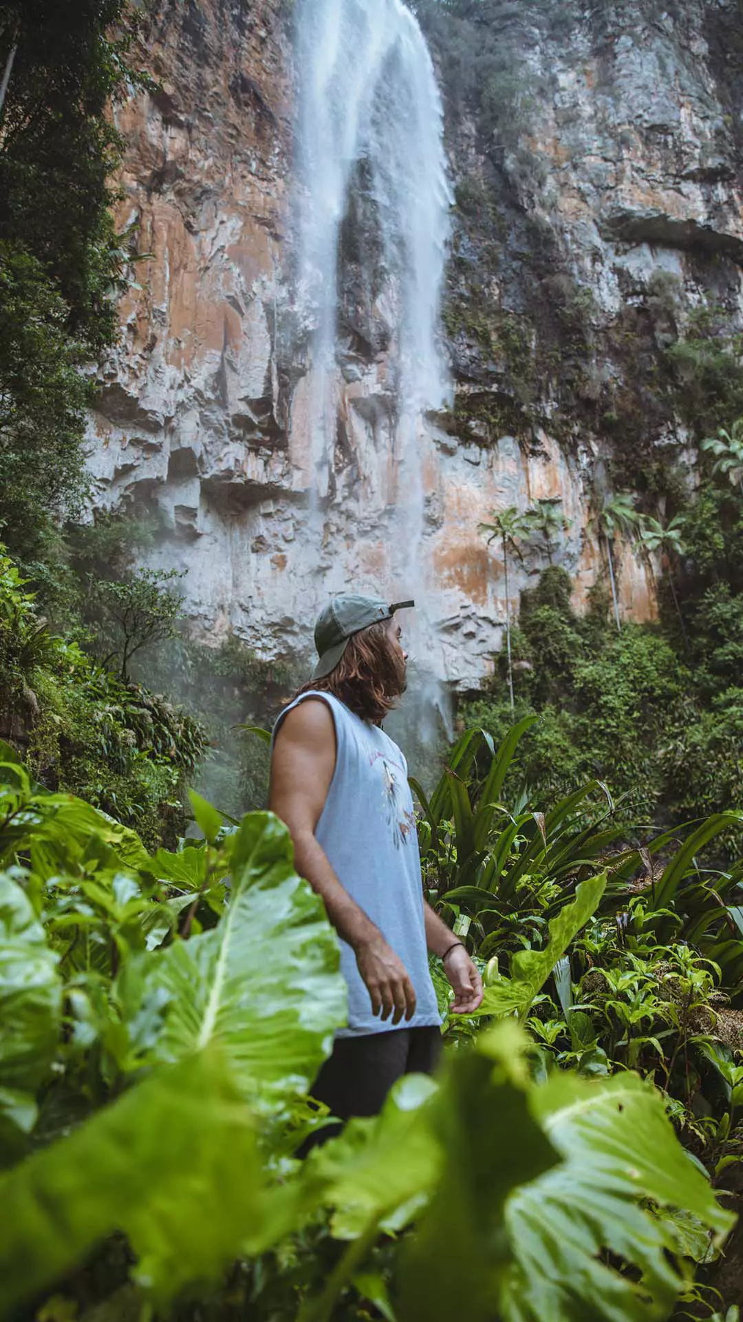 springbrook national park national park