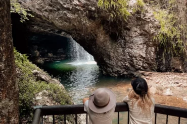 springbrook national park qld