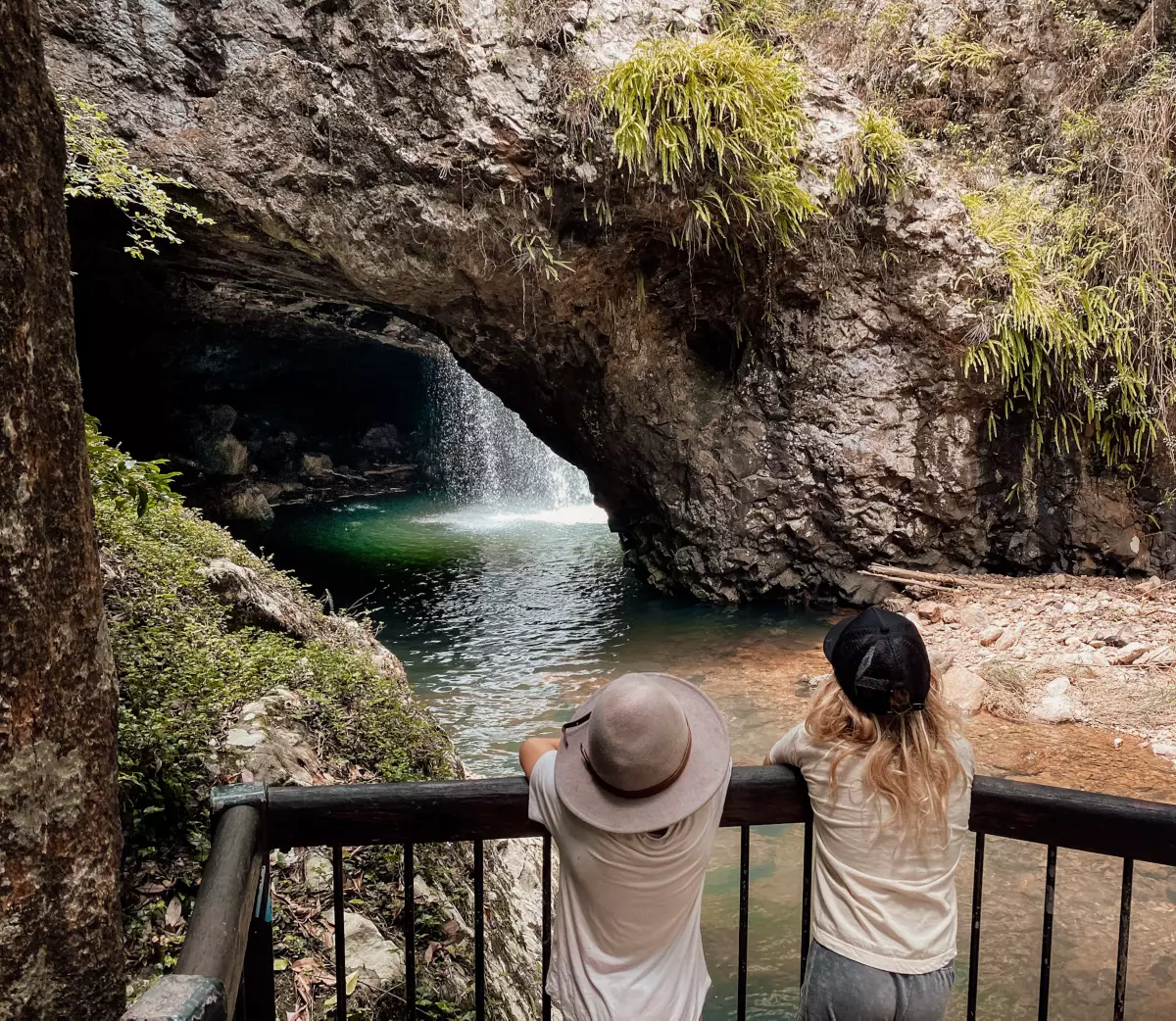 springbrook national park qld