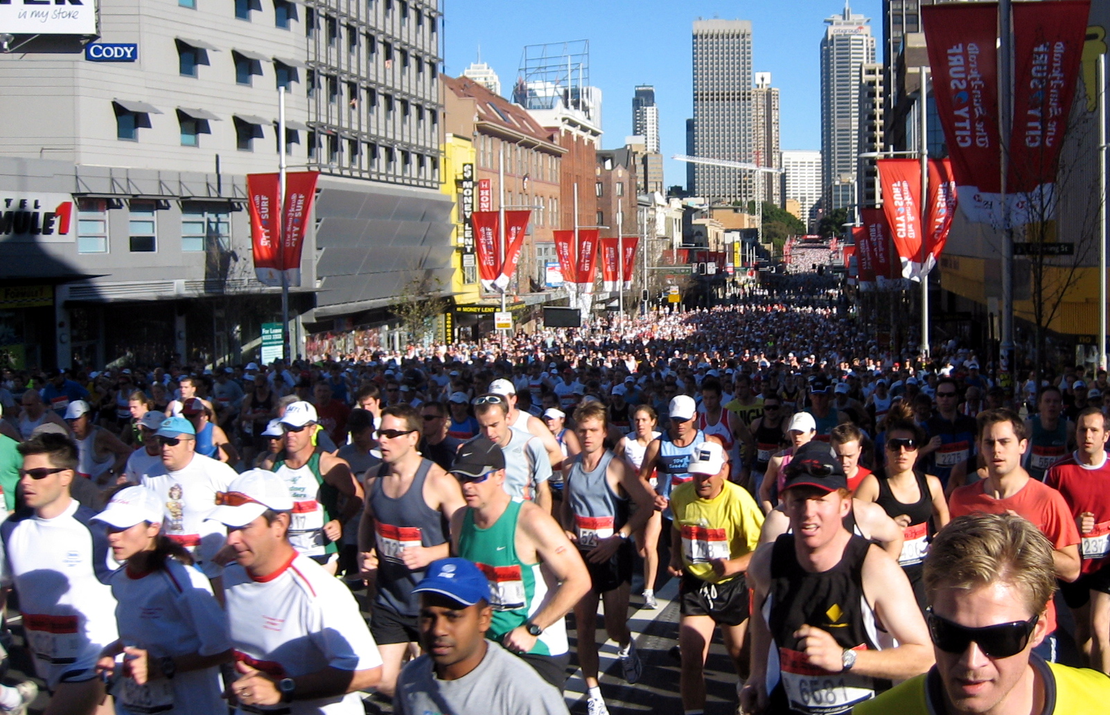 sydney city to surf