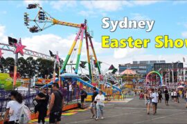 sydney royal show