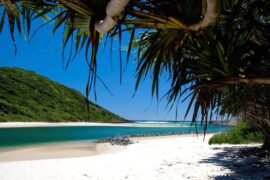 tallebudgera creek