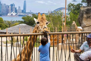 taronga zoo admission fee