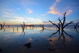 taylors lake melbourne