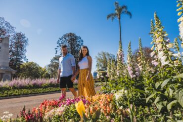 toowoomba qld flower festival