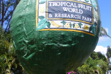 tropical fruit world nsw