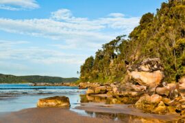 umina beach