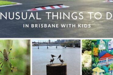 unusual things to do in brisbane