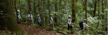 walking trails south east queensland