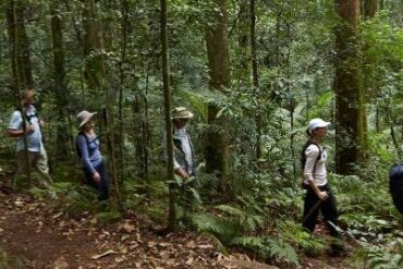 walking trails south east queensland