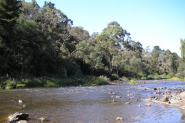 warrandyte