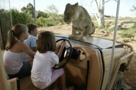 werribee zoo