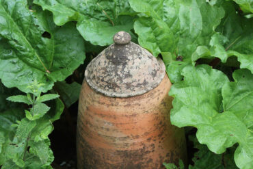 what to do with a glut of rhubarb