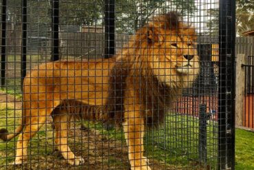 zoo hunter valley