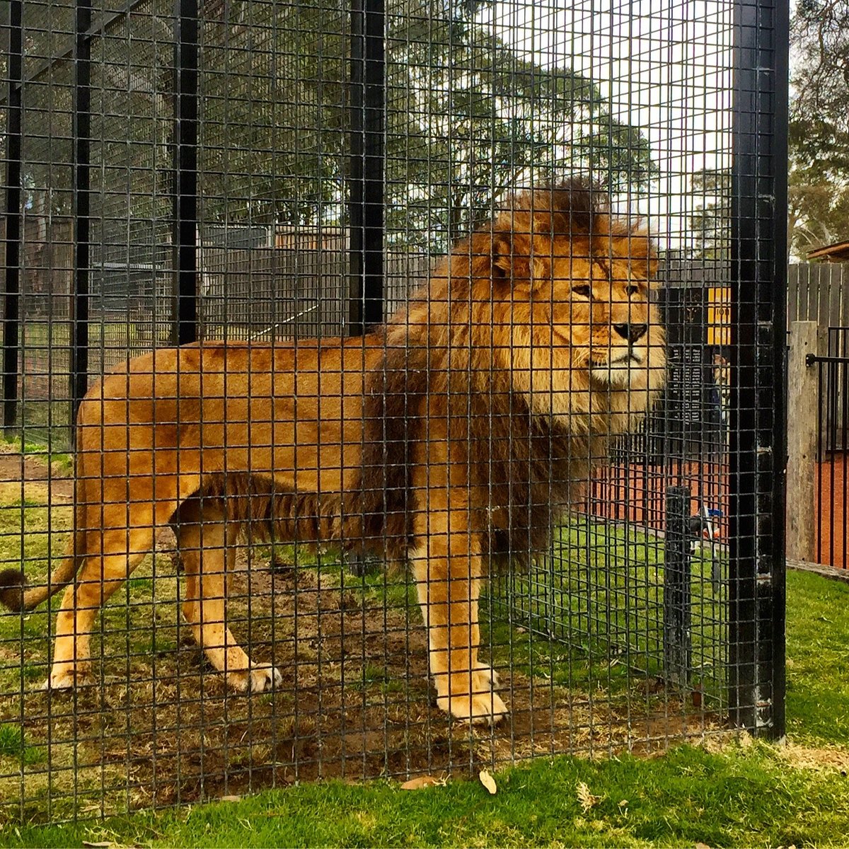 zoo hunter valley