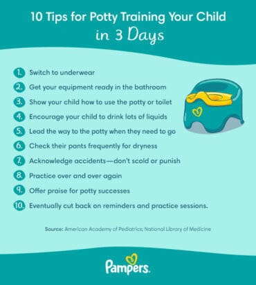 3 day potty training method