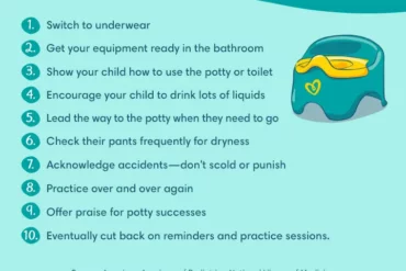 3 day potty training methods