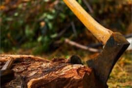 Axe Throwing in Tauranga