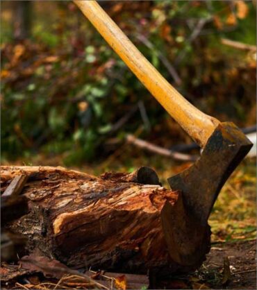 Axe Throwing in Tauranga