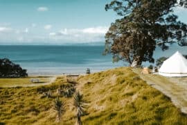 Camping Spots in Auckland