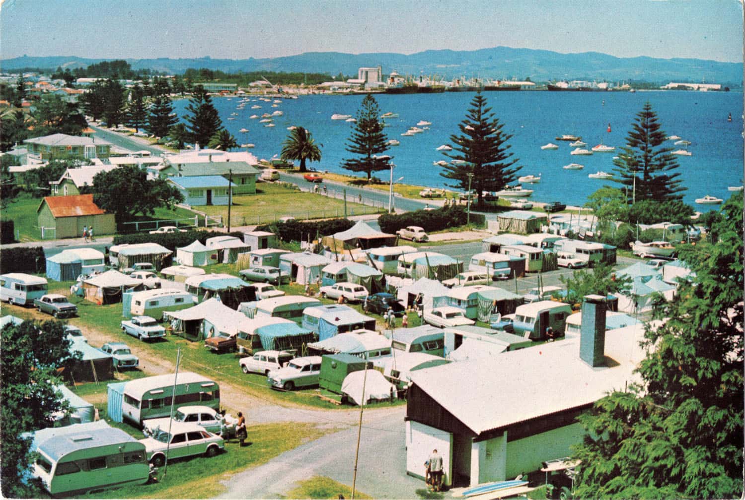 Camping Spots in Tauranga